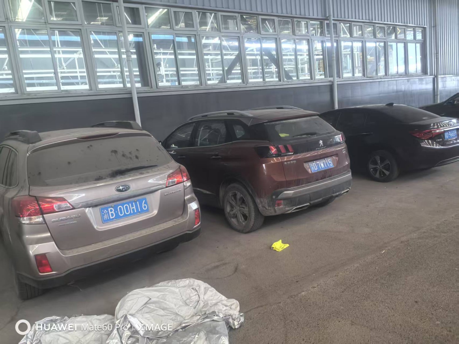 渝D53778奇瑞路虎